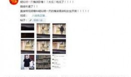 深圳张逸轩爆料事件最新,揭秘背后真相与网络舆论风暴