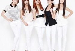 女团活动最新爆料新闻,神秘活动背后，精彩看点提前揭晓