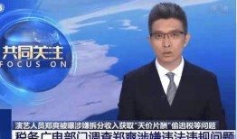 秦锋爆料价格最新消息,价格动态揭秘，市场走势一览无余